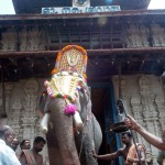 The Madathil Varavu, or temple entry of the elephants at the Thrissur Pooram
